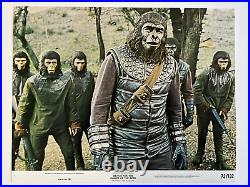 Battle for the Planet of the Apes 1973 Set of 8 Movie Lobby Cards 11 x 14