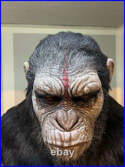 Caesar 1/1 Bust Planet Of The Apes Blu Box Hyper