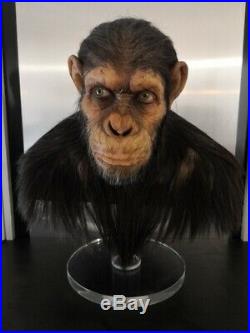 Caesar Life size Bust 1/1 Planet of the Apes The origins Very Rare No SIDESHOW