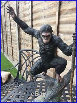 DAWN OF THE PLANET OF THE APES REGULAR CEASAR 1/4 SCALE STATUE Sideshow 65/250