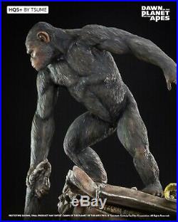 Dawn Of The Planet Of The Apes Ape Not Kill Ape Hqs+ Tsume New. Pre-order