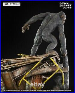 Dawn Of The Planet Of The Apes Ape Not Kill Ape Hqs+ Tsume Statue New. Pre-order