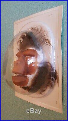 PLANET OF THE APES Prop Original unused Roddy McDowall APPLIANCE + HAIRPIECES