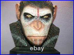 PLANET OF THE APES Warrior Caesar Head 12 (No Blu-rays)