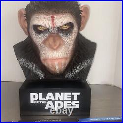 Planet Of The Apes Caesar's Warrior DVD Collection In Caesar's Bust