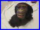 Planet Of The Apes Remote Control Monkey Head