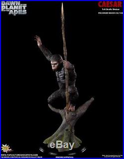 Planet of the Apes Caesar 1/4 Statue Pop SOLD OUT Not Sideshow Premium Format