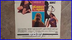Planet of the Apes Window Card 14 x 22 1968 Movie Charlton Heston Roddy McDowall