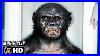 Rise Of The Planet Of The Apes Clip Gen Sys Laboratories 2011 Sci Fi